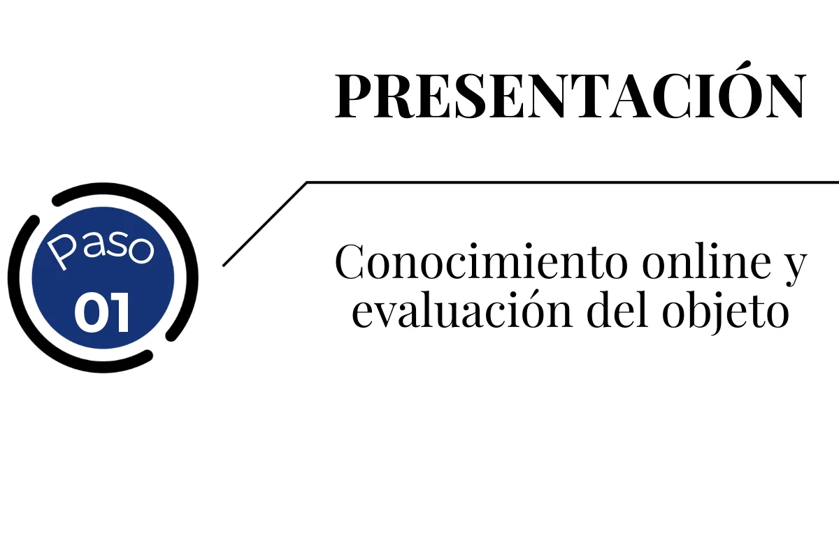 Presentación y evaluación del objeto: transferencia de la gestión de un apartamento en Batumi. Conocimiento online y valoración del apartamento antes de transferir la propiedad a la empresa gestora en Batumi.