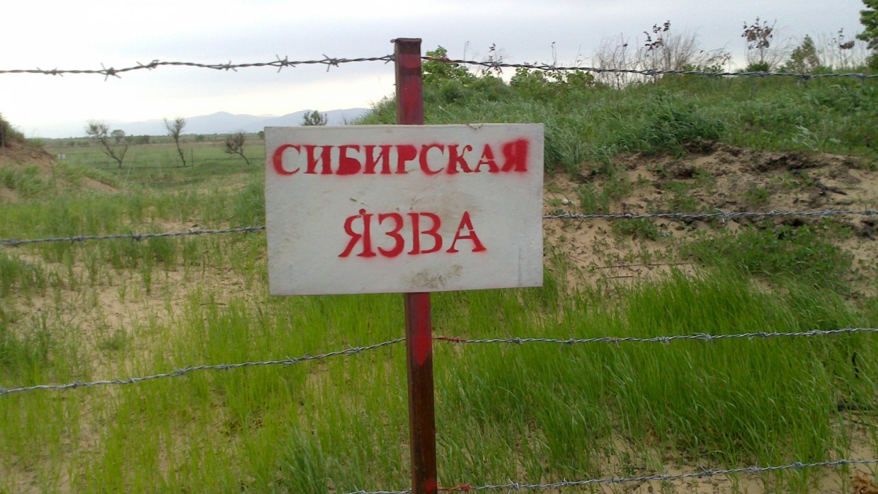 Захоронение животных, зараженных сибирской язвой. Фото: «Актуальные и свежие новости НАО»/ Ptolemocratia Acerronius. Источник: Naked Science