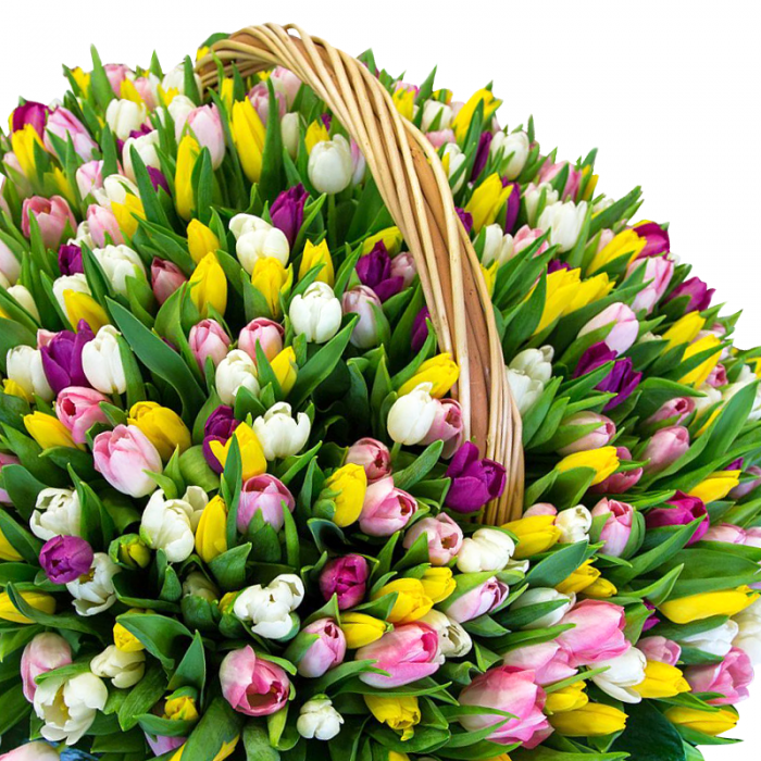 Доставка квітів, тюльпани, акція,пропозиція, квіти Рівне,літній букет,ромашки, лілії,букет для мами, квіти, букет троянд, букет квітів, GIVEAWAY, 101троянда, сердечко, букет сердечко, доставка квітів рівне, рівне, імперія квітів Доставка квітів, тюльпани, акція,пропозиція,квіти Рівне,літній букет,ромашки, лілії,букет для мами, квіти, букет троянд, букет квітів, GIVEAWAY, 101троянда, сердечко, букет сердечко, доставка квітів рівне, рівне, імперія квітів