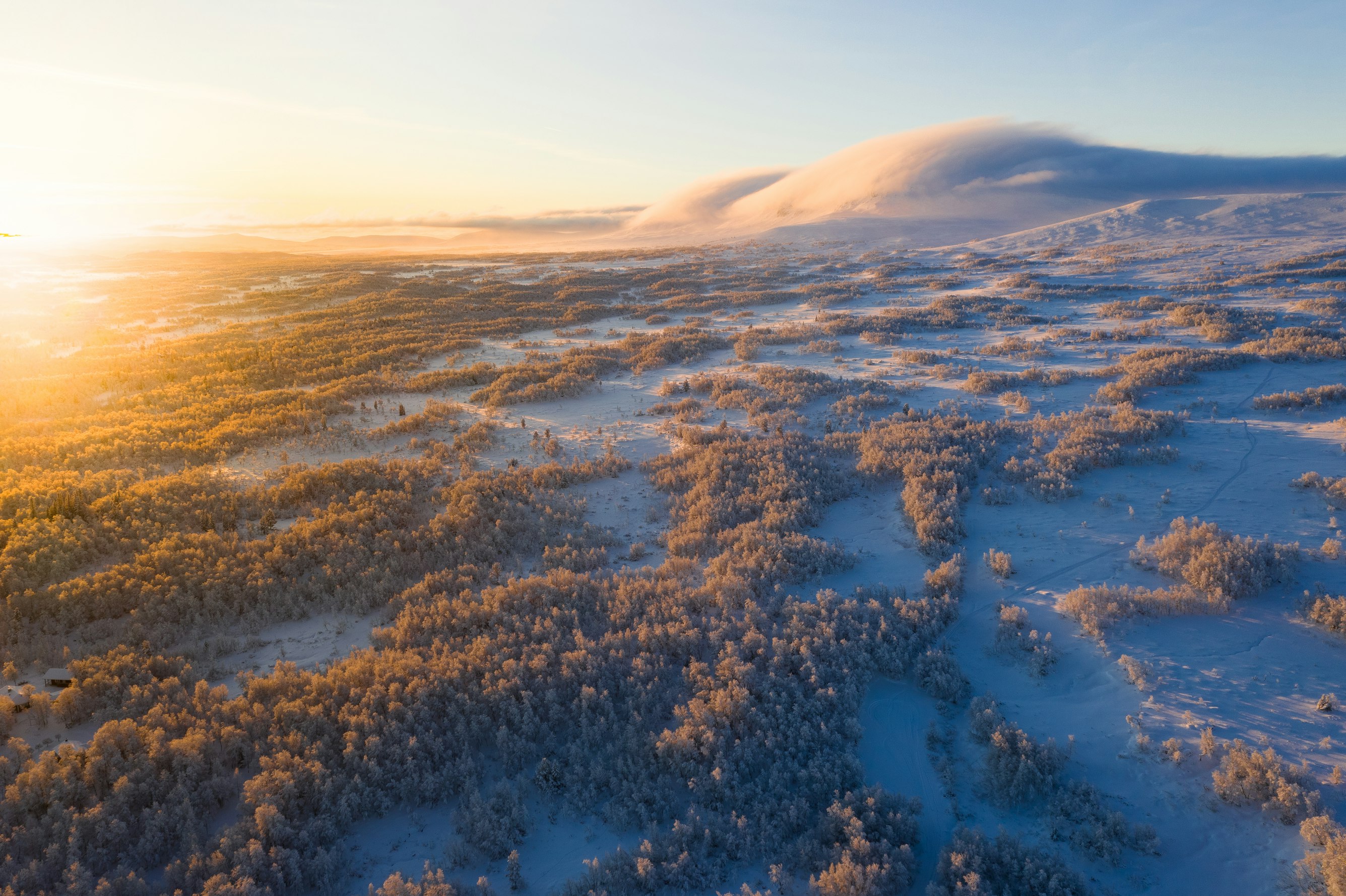 Photo: Jaanus Jagomägi