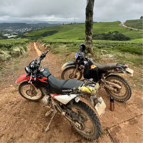 Route 4 Cau Dat Tea Hills with Wind Turbines (Cau Dat Tea Hill)
