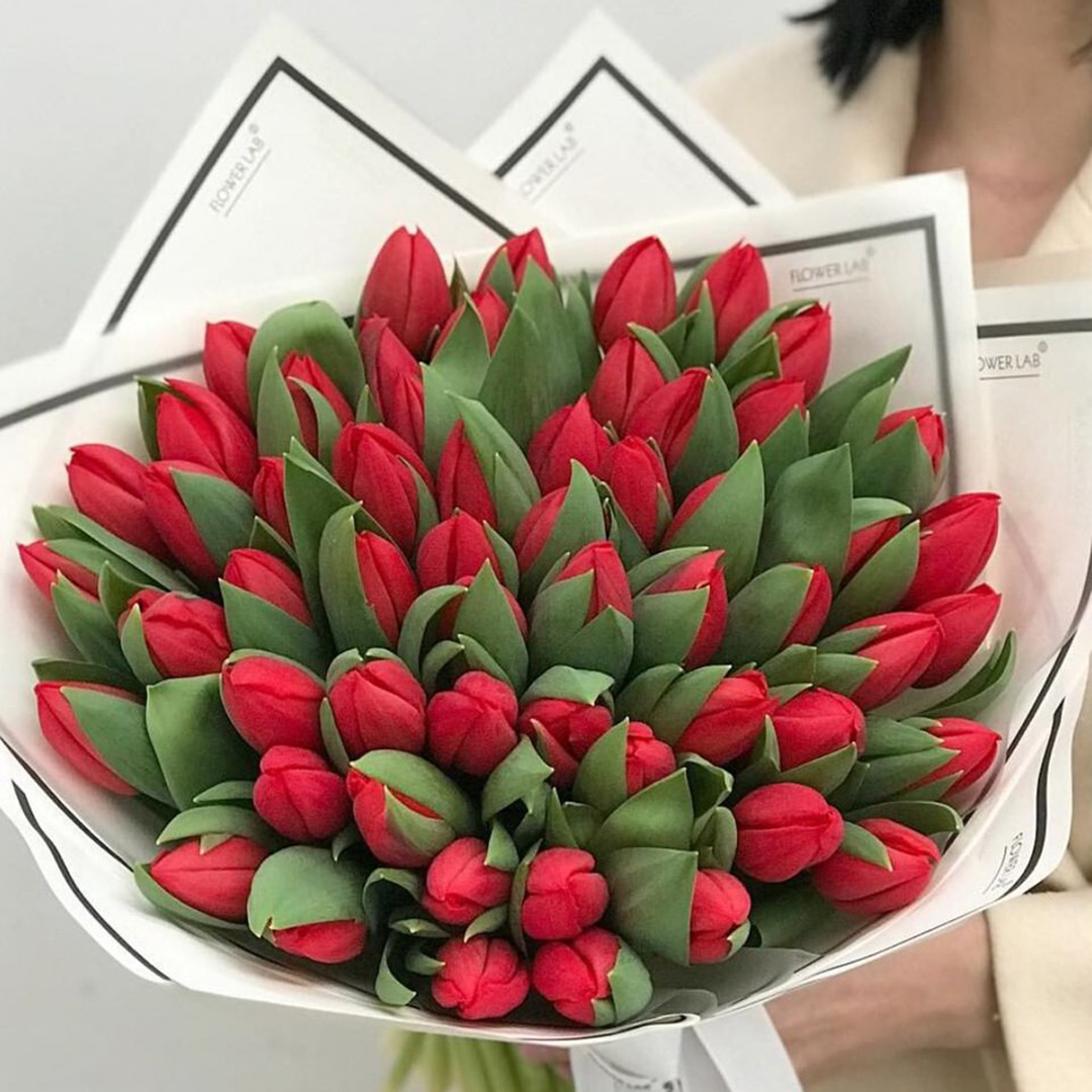 51 красный тюльпан в руках